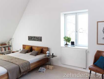 ZehnderBel  